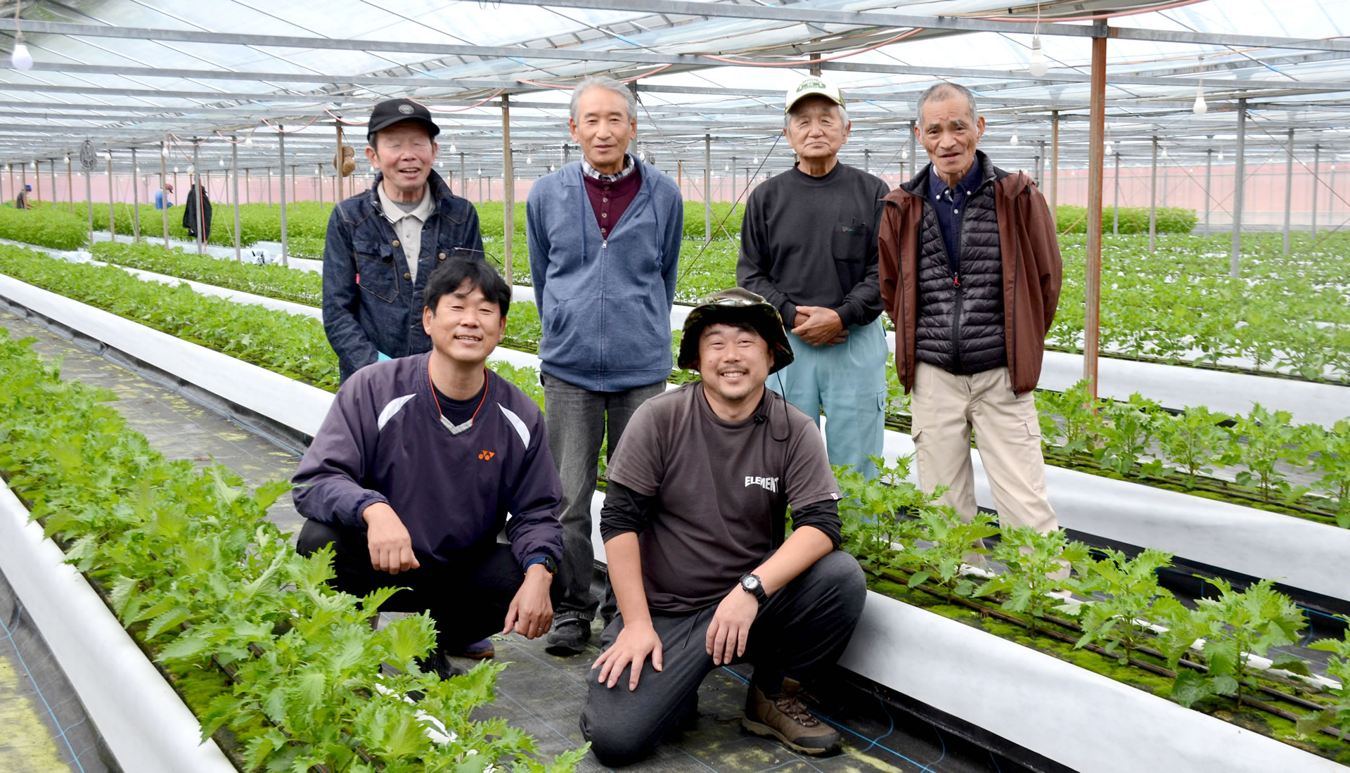 ������������Ă��܂��B