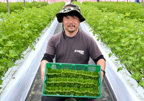 �����@���