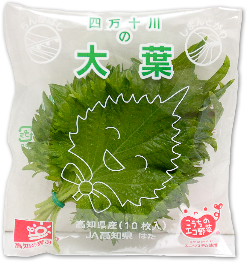 �l���\�̑�t